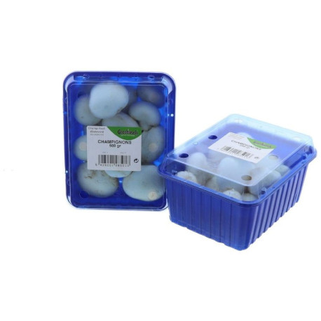 CHAMPIGNON BLANC GROSBUSCH 4X500G